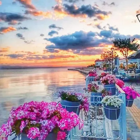 Alice House 2 * Amarynthos